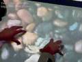 Multi-Touch in IT-BHU