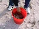Fishing TURBOT kalkan av? karadeniz