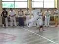 Capoeira - pokazy (Kozienalia 2007)
