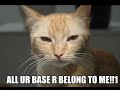 Teh LOLCATS complation video Teh LOLCATS complation video