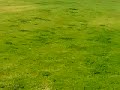Helicoptero aterriza en el CEBA