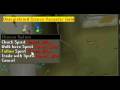 Runescape - 5pirit did not quit!