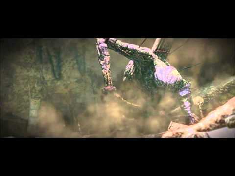 how to cure curse in dark souls