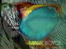 Mark Boyce - All over the world
