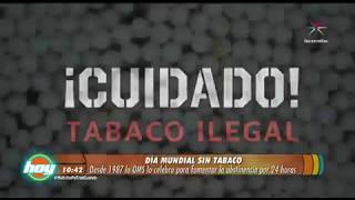 Baltazar Pech Alonso-23