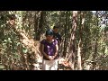 El Pital - El Salvador (101).mpg