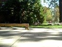 Boardslide on wood!