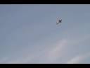 Extreme Flight 88\" Yak W/ Brillelli 366GT Extreme Flight 88\" Yak W/ Brillelli 366GT