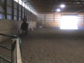 FOR SALE Unexpected Success(Blaiz)