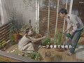 香里奈-賃貸住宅cm