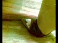 missfeet heels
