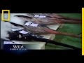 Shark Warnings