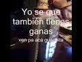 Perreo Celul�tico
