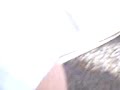 Thumbnail #3