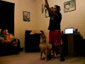 !!KAOS!! First time on Tug of War