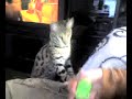 Nitro Likes to Fetch Nitro Likes to Fetch