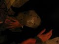Saul666 - Ghis a l\ Saul666 - Ghis a l\