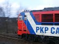 SU46-037 SU46-037