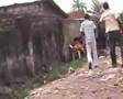 Kinshasa Policiers Voleurs 2