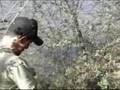 Bigfoot stomps Four Corners, trackers say