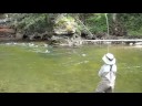 Fly Fishing on the \"Upper D\" Fly Fishing on the \"Upper D\"