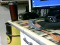 Nemo the flying fish comparasion test.