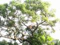 We've Been There - Africa 2005 - Cruise Holidays ...