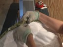 Attach Quilt Binding by Machine - Part 1