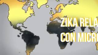 ¿De donde vino el zika?