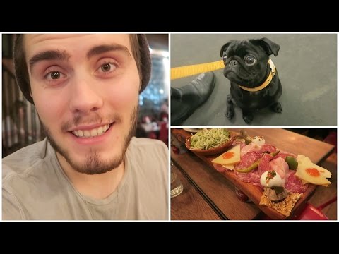 Sleepy Puppies + Yummy Food!