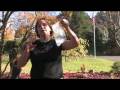 Gardening: Repelling Pests : How to Repel Flies With Water