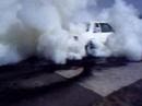 White-Mustang-Doing-