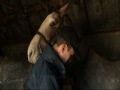 Breaking in a horse with Lorcan D\ Breaking in a horse with Lorcan D\