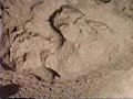 Mud Volcanoes of Yellowstone National Park