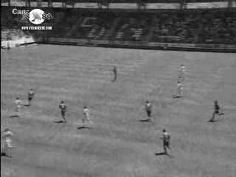 Homenaje a Viqueira