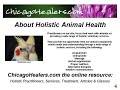 Holistic Animal Medicine Holistic Animal Medicine