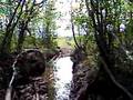 ATV VTT Beauport Beach Mud show #4 