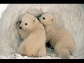 Global warming