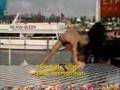 Coldplay - The Hardest Part (Legendado)