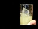 Que Pasa Singapore Gin Sling Cocktail Making Video