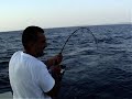 TUNNY FISH ATTACK TUNNY FISH ATTACK