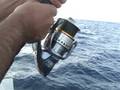 TUNNY FISH ATTACK