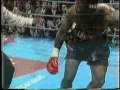 HW Champions: Lennox Lewis HW Champions: Lennox Lewis