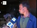El trabajo del esquilador, un oficio que en España se rechaza por su dureza .