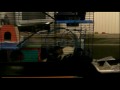 Rats Running Together