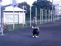 Enchainements Dunk In The Face Enchainements Dunk In The Face