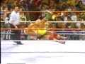 Wrestling moves - side slam