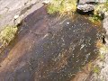 Ireland, Eire. Schöne Landschaftsbilder mit Begleitmusik.