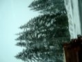 Whistler