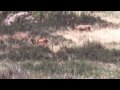 Colorado.avi